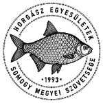 Somogy Megyei Feeder Bajnokság – TOP MIX – M-Car Horgászvilág Kupa 2025 - Kaposvár, Deseda tó IV. ford