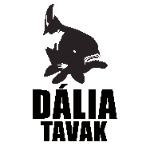 Dália Tavi TOP 5 verseny