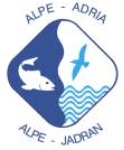 Deseda - Alpe - Adria Cup - 2026
